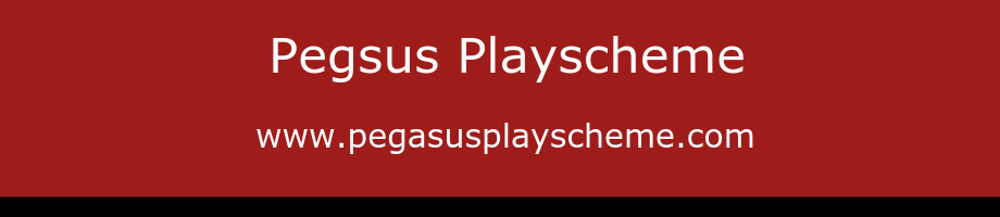 Pegasus Playscheme Banner
